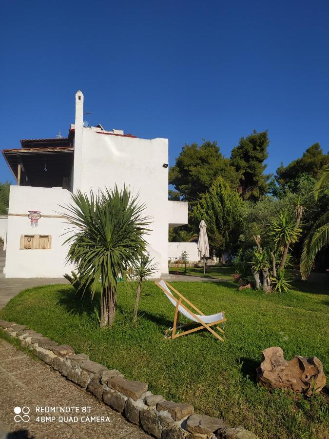 Appartement Ta Pefka à Nikiti  Extérieur photo