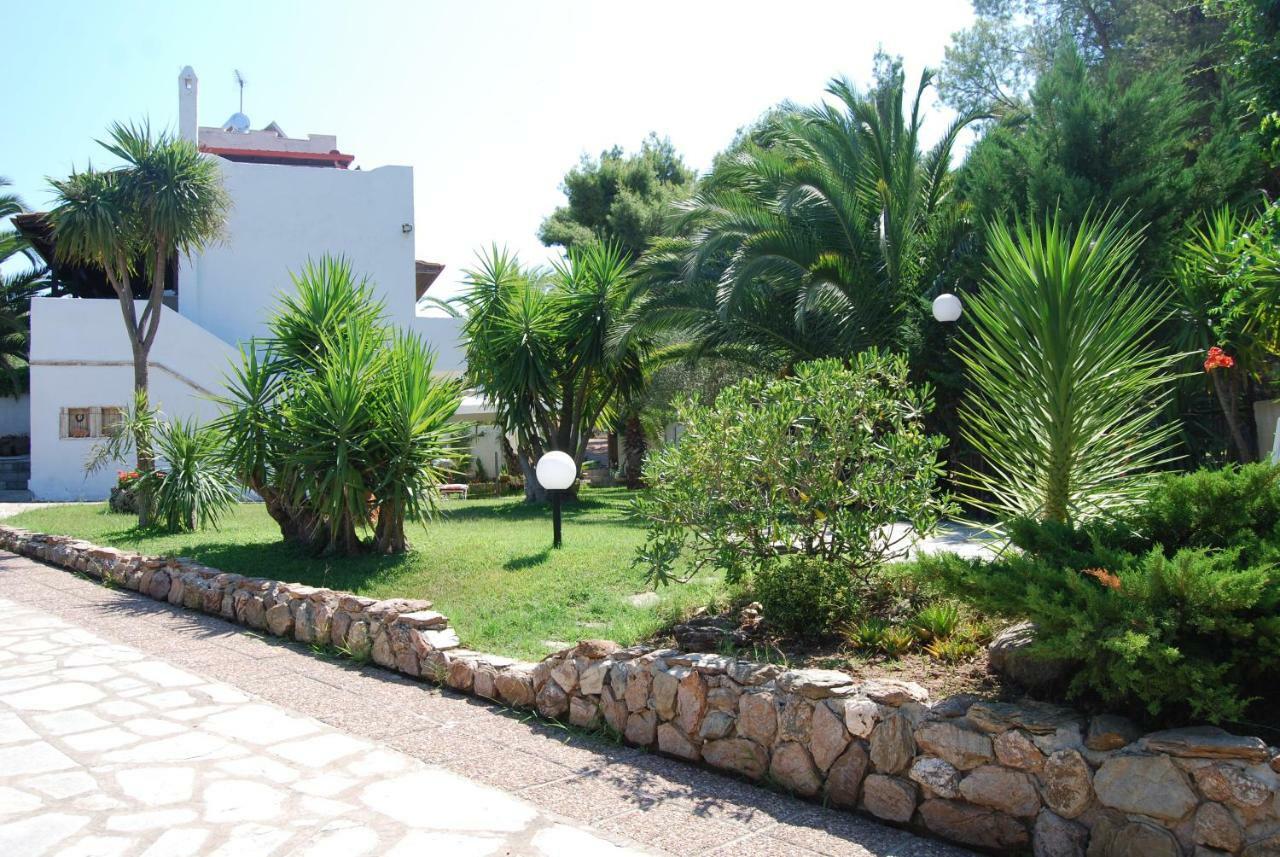 Appartement Ta Pefka à Nikiti  Extérieur photo