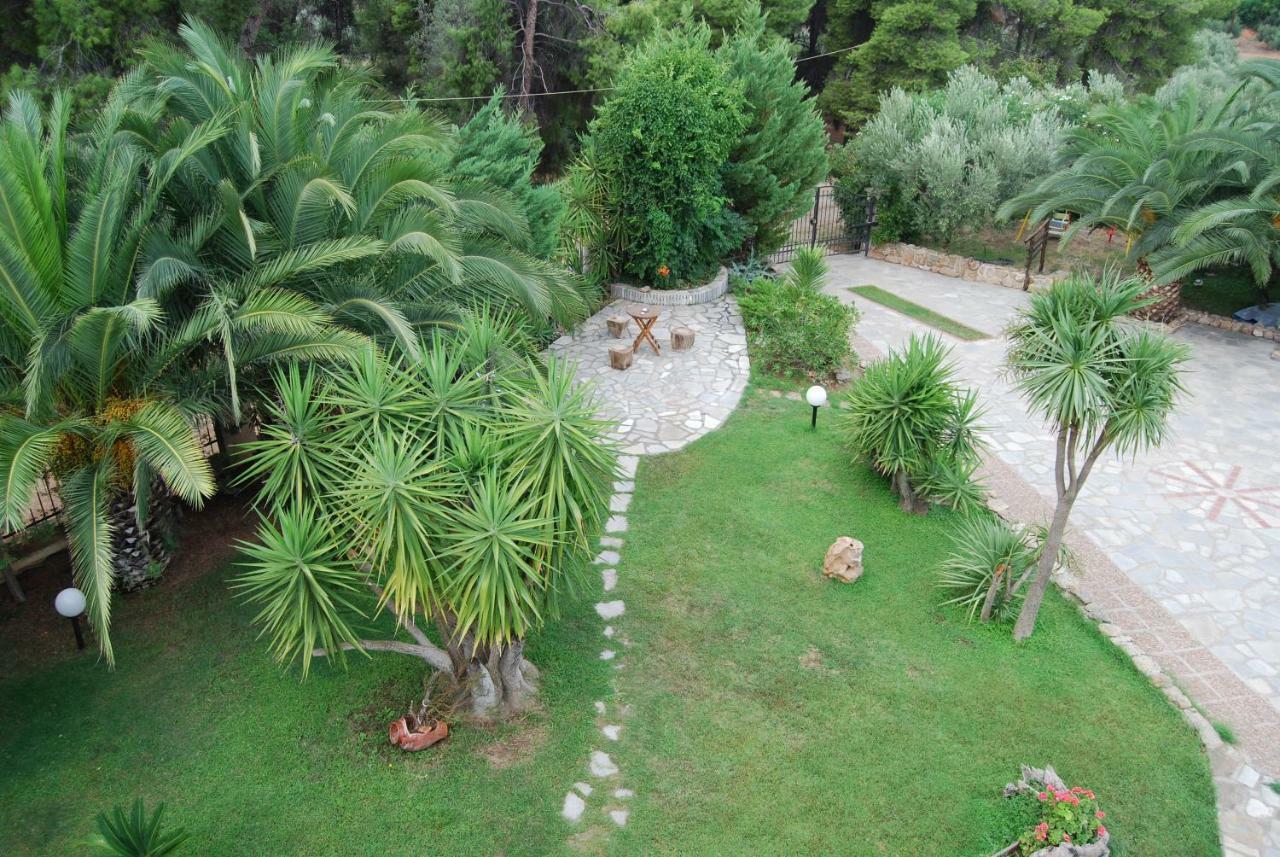 Appartement Ta Pefka à Nikiti  Extérieur photo